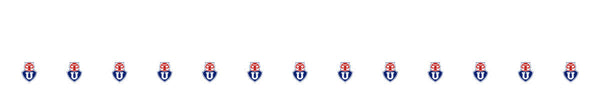 Universidad de Chile