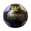Balon de Futbol Colo Colo Plateado Talla 5