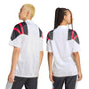 Camiseta Adidas Colo Colo Eqt Bl -Gris Adulto